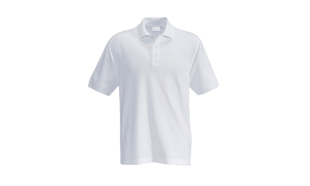 Polo Cuello Camisero 20/1