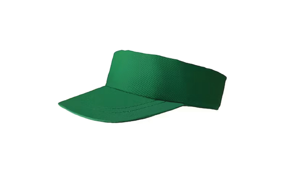 Visera